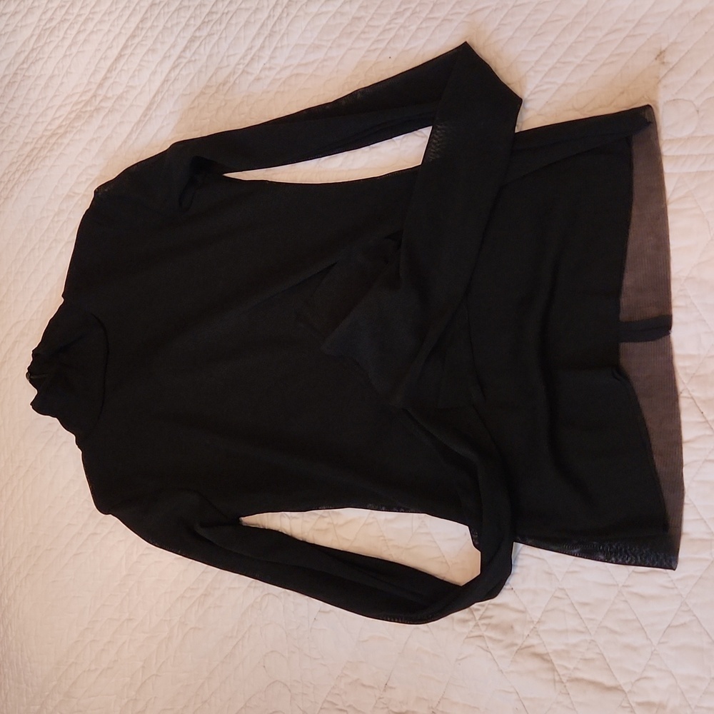Zara  sheer mockneck long sleeve shirt